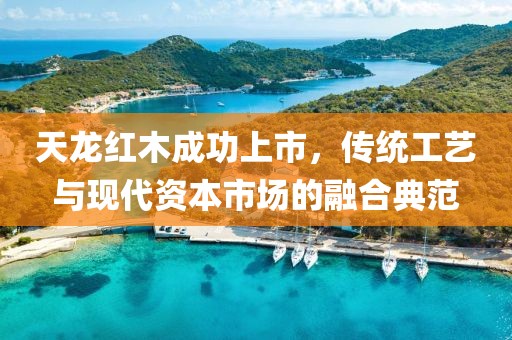 天龙红木成功上市，传统工艺与现代资本市场的融合典范