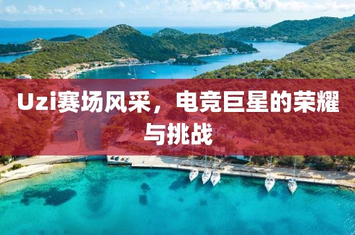 Uzi赛场风采，电竞巨星的荣耀与挑战