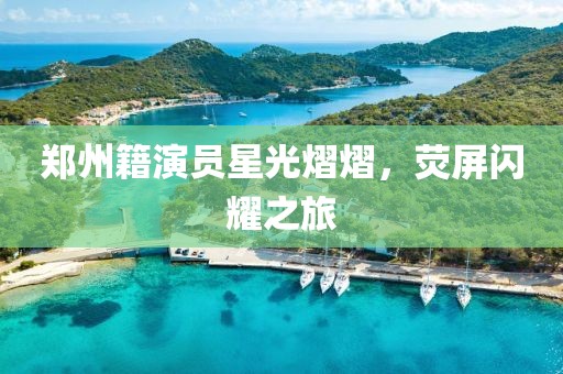郑州籍演员星光熠熠，荧屏闪耀之旅
