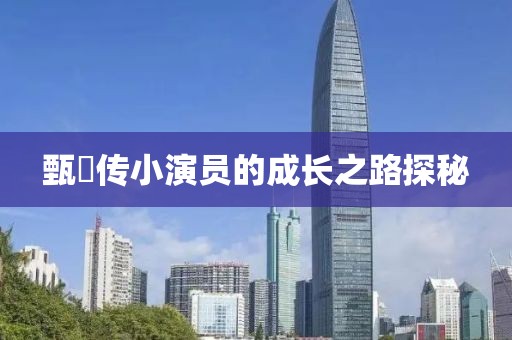 甄嬛传小演员的成长之路探秘