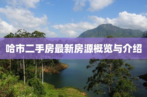 哈市二手房最新房源概览与介绍