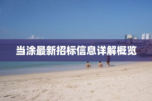 当涂最新招标信息详解概览