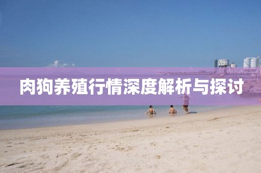 肉狗养殖行情深度解析与探讨