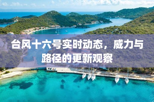 台风十六号实时动态，威力与路径的更新观察