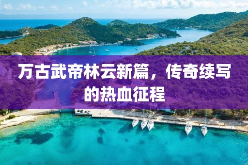 万古武帝林云新篇，传奇续写的热血征程