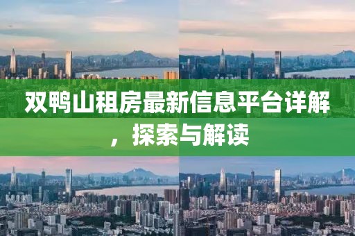 双鸭山租房最新信息平台详解，探索与解读