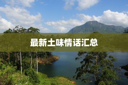 最新土味情话汇总