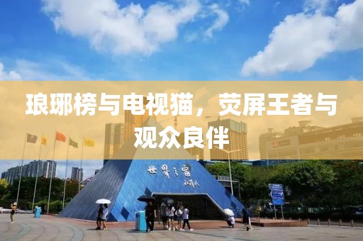 琅琊榜与电视猫，荧屏王者与观众良伴