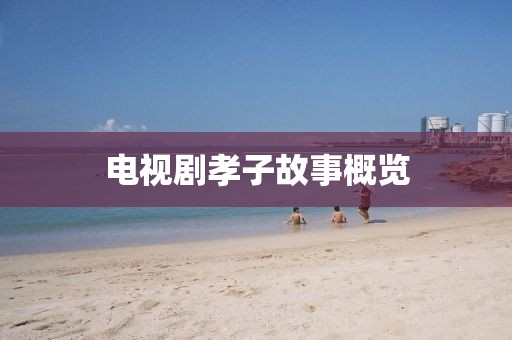 电视剧孝子故事概览