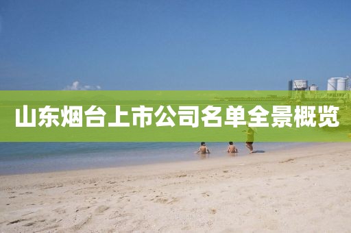 山东烟台上市公司名单全景概览