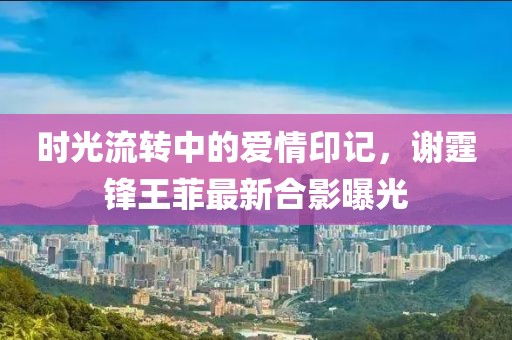 时光流转中的爱情印记，谢霆锋王菲最新合影曝光