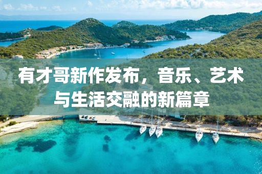 有才哥新作发布，音乐、艺术与生活交融的新篇章