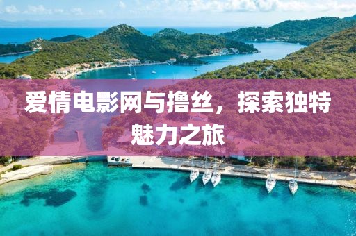 爱情电影网与撸丝，探索独特魅力之旅