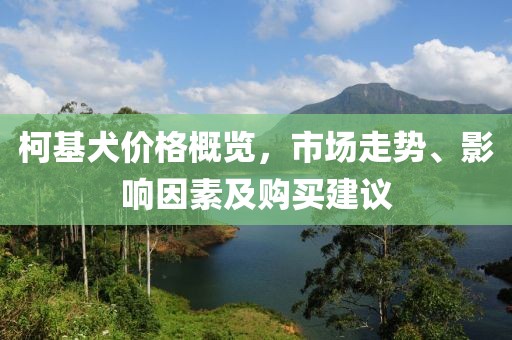 柯基犬价格概览，市场走势、影响因素及购买建议