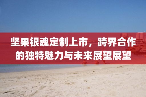 坚果银魂定制上市，跨界合作的独特魅力与未来展望展望