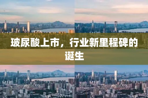 玻尿酸上市，行业新里程碑的诞生