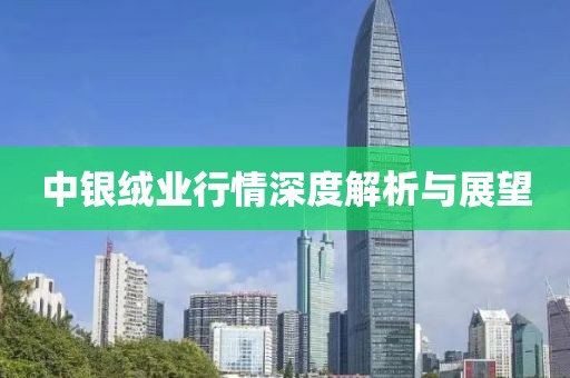 中银绒业行情深度解析与展望