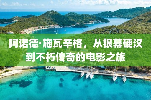 阿诺德·施瓦辛格，从银幕硬汉到不朽传奇的电影之旅
