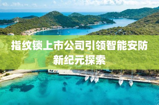 指纹锁上市公司引领智能安防新纪元探索