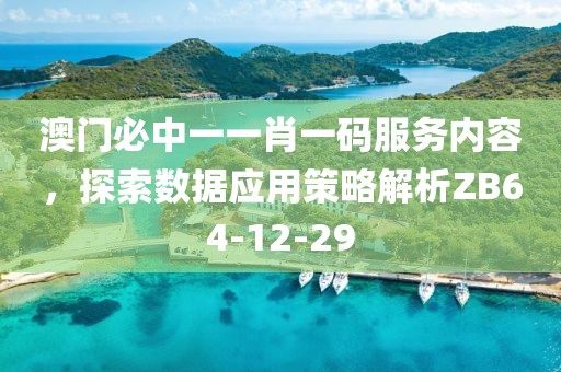 澳门必中一一肖一码服务内容，探索数据应用策略解析ZB64-12-29