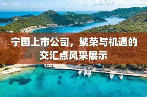 宁国上市公司，繁荣与机遇的交汇点风采展示