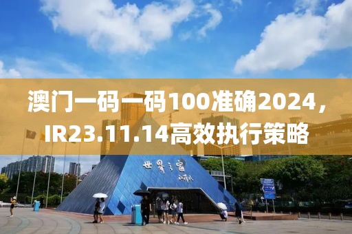澳门一码一码100准确2024，IR23.11.14高效执行策略