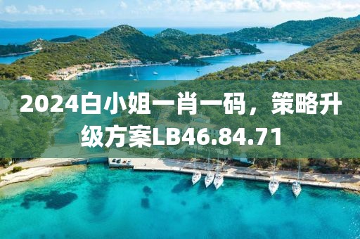 2024白小姐一肖一码，策略升级方案LB46.84.71