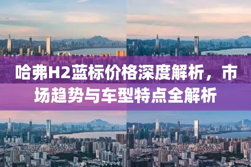 哈弗H2蓝标价格深度解析，市场趋势与车型特点全解析