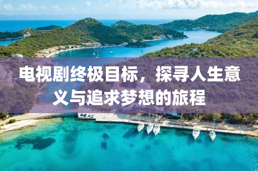 电视剧终极目标，探寻人生意义与追求梦想的旅程