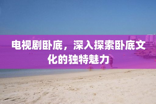 电视剧卧底，深入探索卧底文化的独特魅力