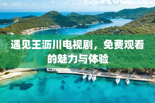 遇见王沥川电视剧，免费观看的魅力与体验