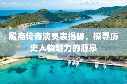 殷商传奇演员表揭秘，探寻历史人物魅力的源泉