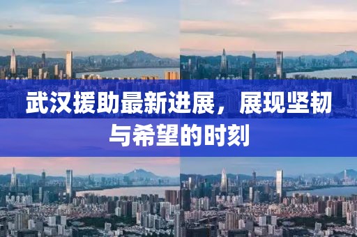 武汉援助最新进展，展现坚韧与希望的时刻