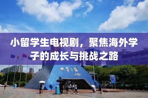 小留学生电视剧，聚焦海外学子的成长与挑战之路