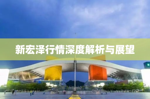 新宏泽行情深度解析与展望