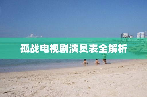 孤战电视剧演员表全解析