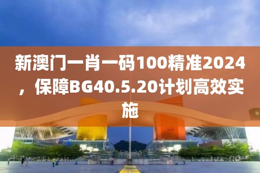 新澳门一肖一码100精准2024，保障BG40.5.20计划高效实施