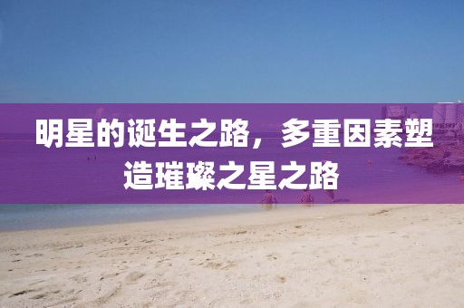 明星的诞生之路，多重因素塑造璀璨之星之路