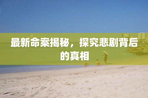 最新命案揭秘，探究悲剧背后的真相