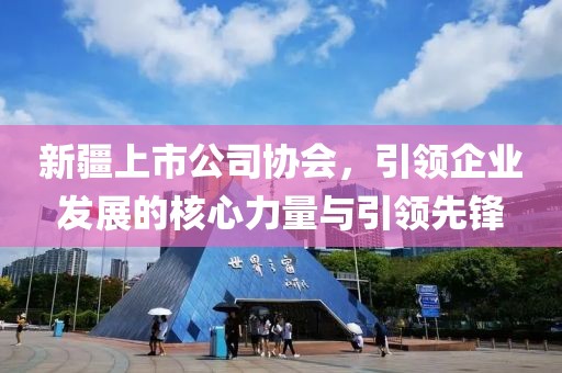 新疆上市公司协会，引领企业发展的核心力量与引领先锋