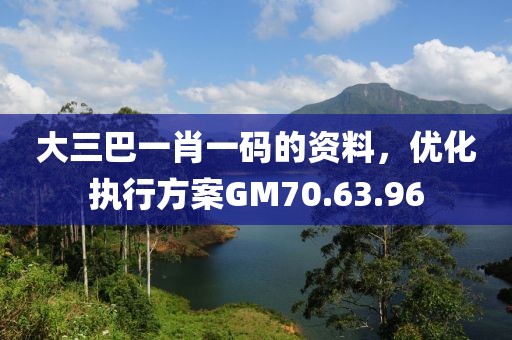 大三巴一肖一码的资料，优化执行方案GM70.63.96