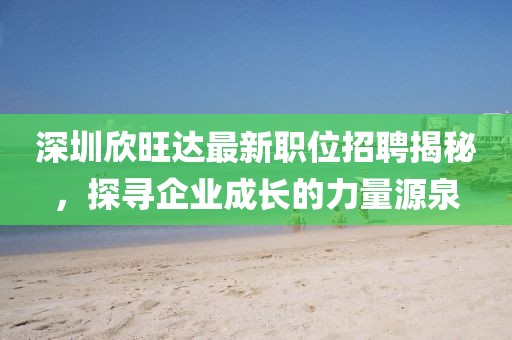 深圳欣旺达最新职位招聘揭秘，探寻企业成长的力量源泉