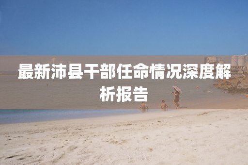 最新沛县干部任命情况深度解析报告