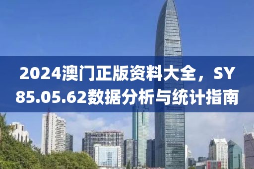 2024澳门正版资料大全，SY85.05.62数据分析与统计指南