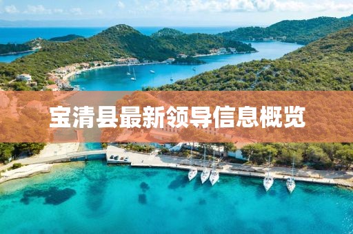 宝清县最新领导信息概览
