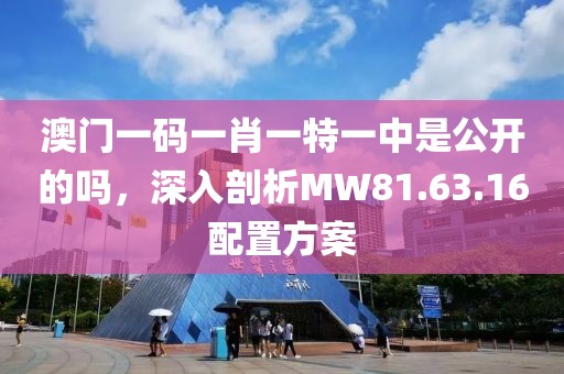 澳门一码一肖一特一中是公开的吗，深入剖析MW81.63.16配置方案