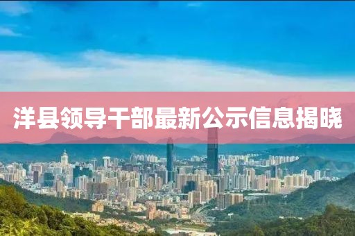 洋县领导干部最新公示信息揭晓