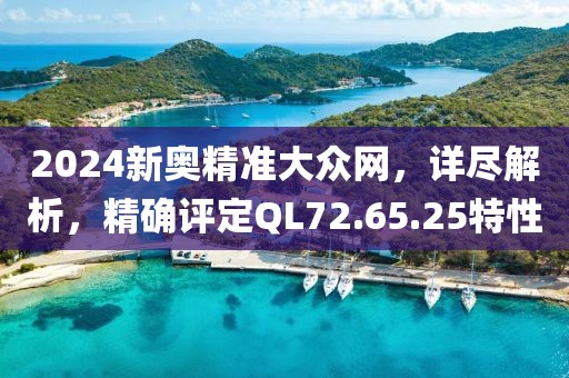 2024新奥精准大众网，详尽解析，精确评定QL72.65.25特性