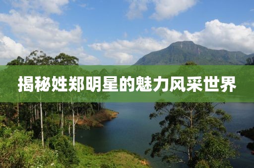 揭秘姓郑明星的魅力风采世界