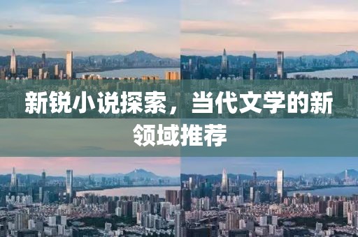 新锐小说探索，当代文学的新领域推荐